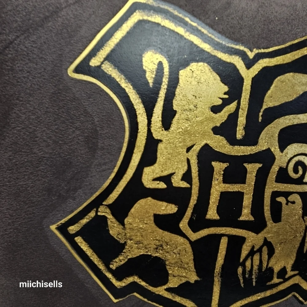 Harry Potter pillow